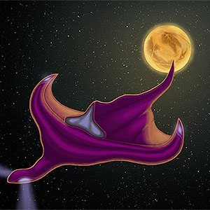 Spaceship